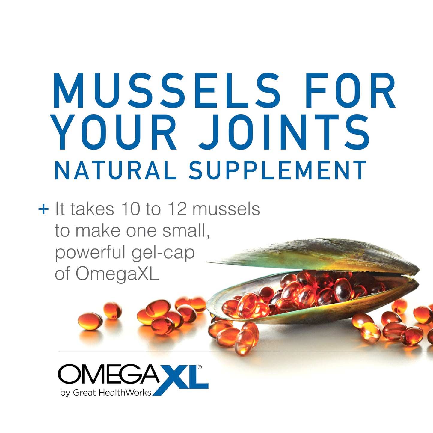 OmegaXL Joint Support Supplement - Natural Muscle Support, Green Lipped Mussel Oil, Soft Gel Pills, Drug-Free, 300 Count